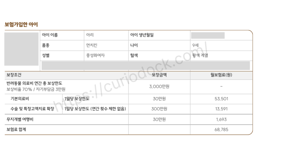 고양이 펫보험 마이브라운 블랙 플랜