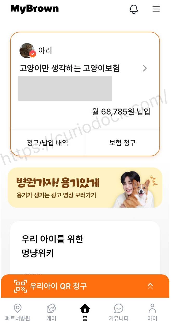 고양이 펫보험 마이브라운 블랙 플랜 어플 앱